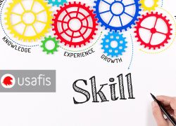 USAFIS - Skills